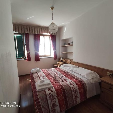 Bed and Breakfast La Favorita Lozzo Cadore Esterno foto