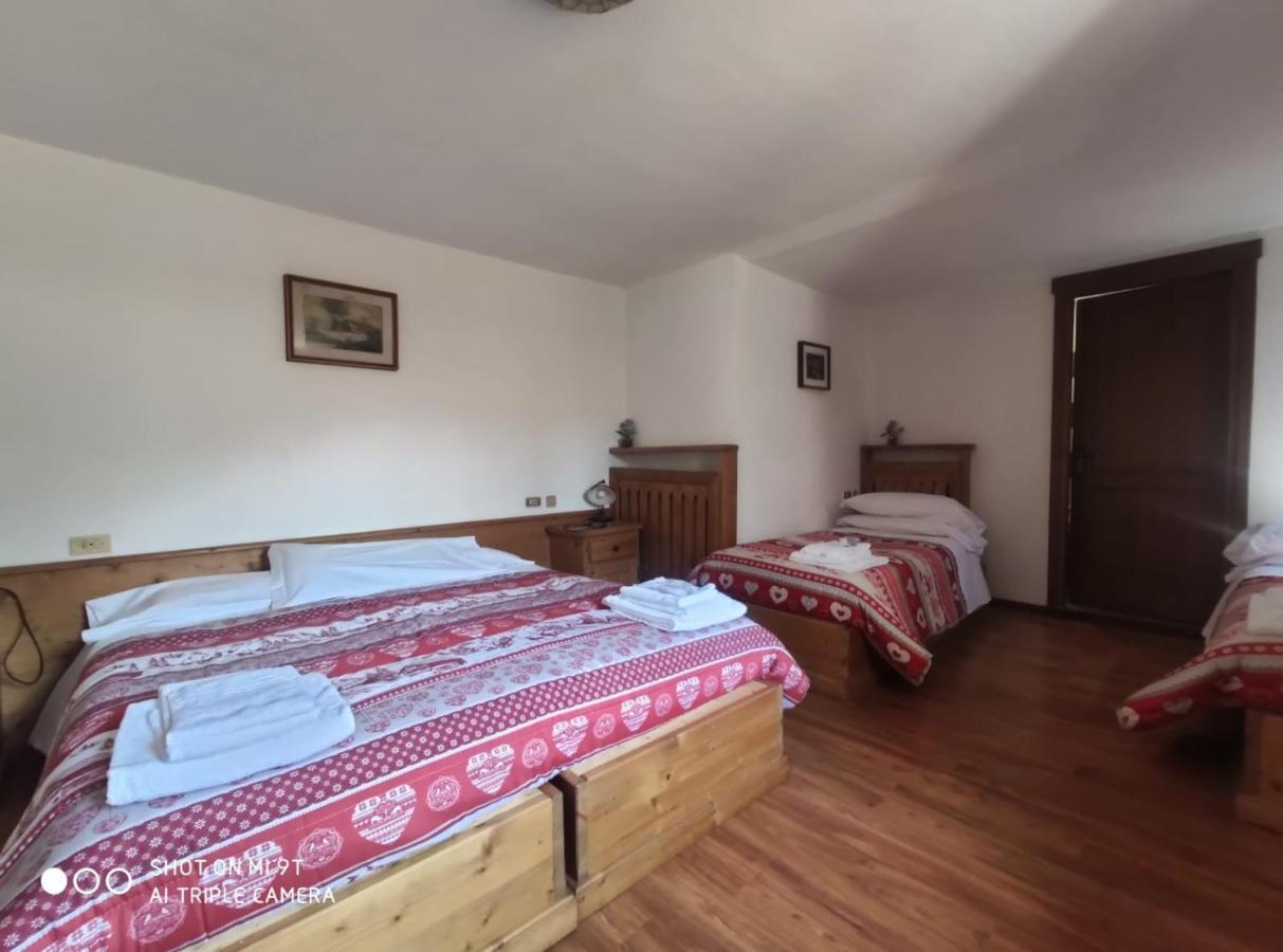 Bed and Breakfast La Favorita Lozzo Cadore Esterno foto